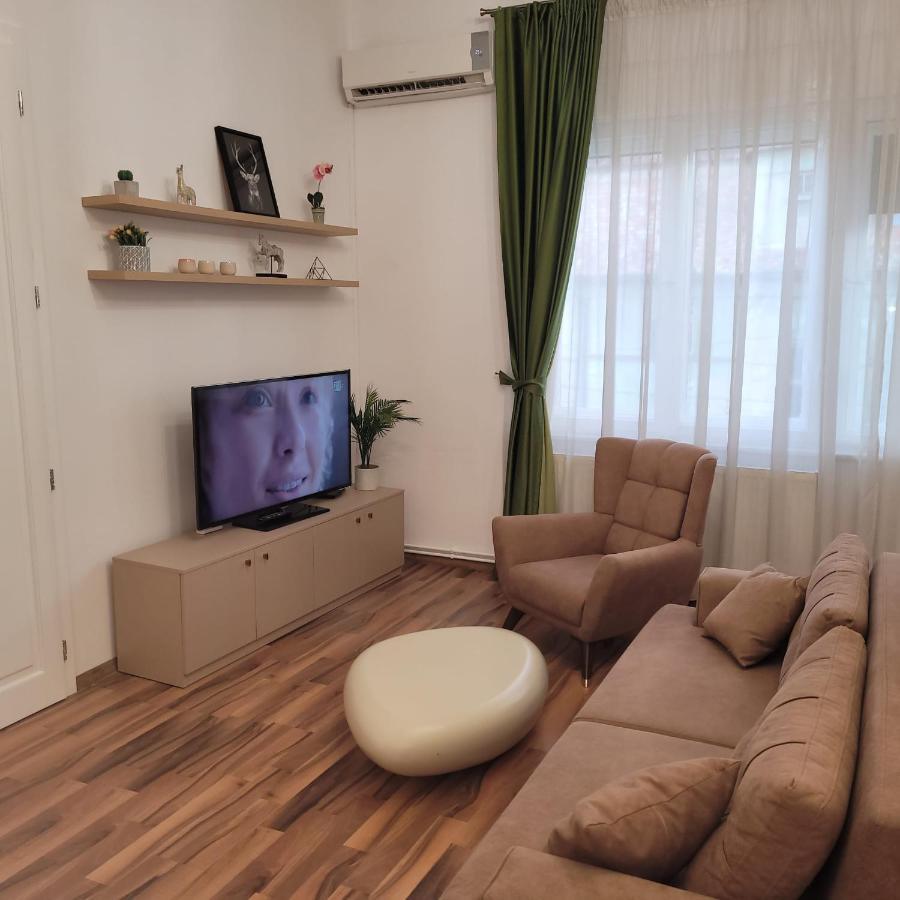 B8 - Spacious, Charming Apartment In Central Hermannstadt Exterior foto