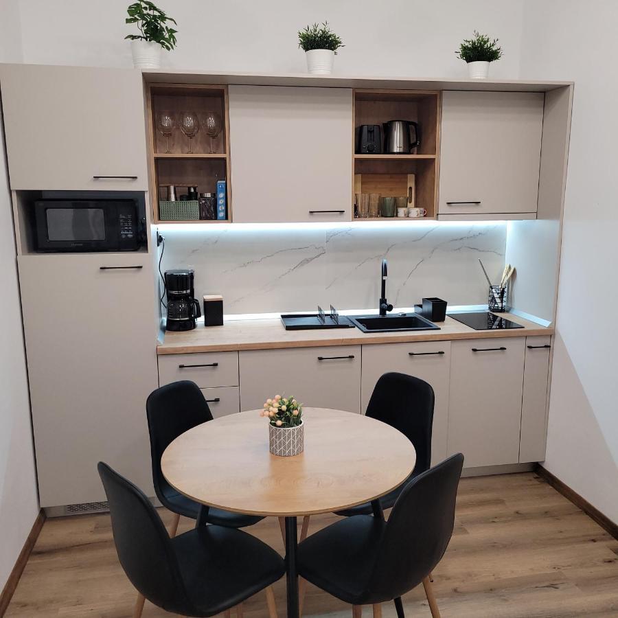 B8 - Spacious, Charming Apartment In Central Hermannstadt Exterior foto