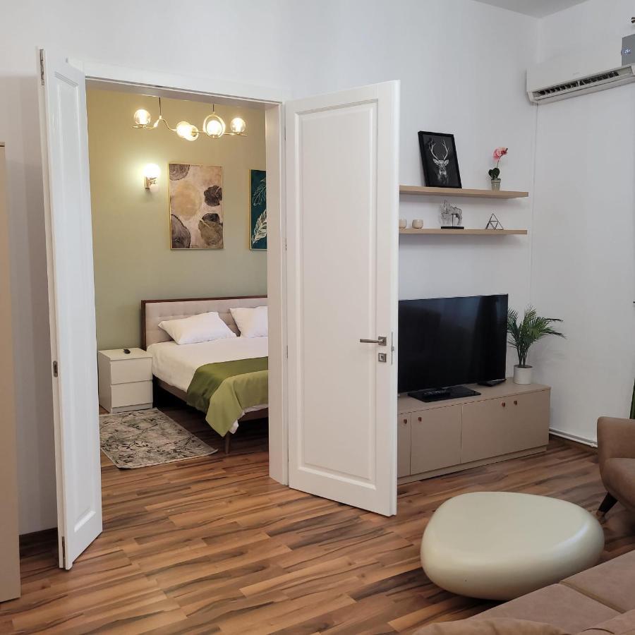 B8 - Spacious, Charming Apartment In Central Hermannstadt Exterior foto