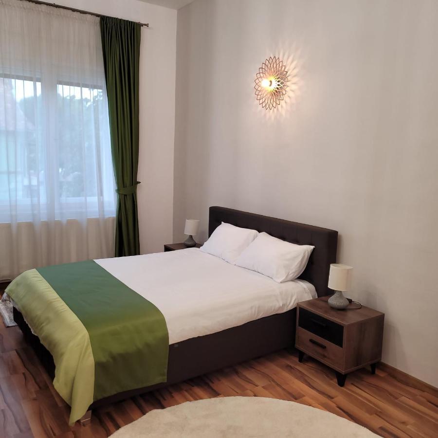 B8 - Spacious, Charming Apartment In Central Hermannstadt Exterior foto